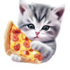 Pizza Cat