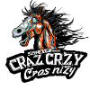 crazy horse