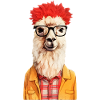 Hipster lama #lama