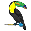 Toucan Dart Dart