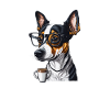 rat terrier dog dad