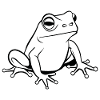 Frog Amphibian Toad