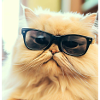 Persian map Negan with glasses