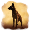 Belgian Shepherd silhouette