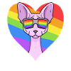 Regenbogen - Katze Sphynx-Katze mit Brille