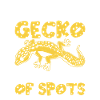 Leopard Gecko Lizard Lover
