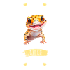 Leopard Gecko Lizard Lover