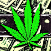 Cannabis with banknotes