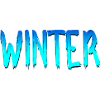 SCHRIFTZUG WINTER