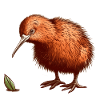Kiwi Oiseau avec brin d’herbe