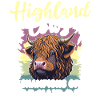 Hochlandrinder Bovins Highland Cow