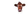 Cow Farm Motif Print