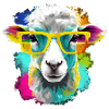 Bool the sheep