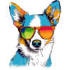 Toru the bespectacled dog