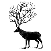 Cerf Automne