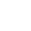 Tarentule araignée blanche