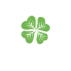 Happiest Shamrock troupe