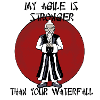 Agile sensei