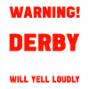 Roller derby