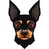 Vector style dog