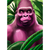 Rosa Gorilla