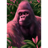 Rosa Gorilla