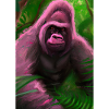 Rosa Gorilla