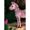 Rosa Zebra