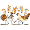 Poule et coq