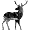 Hirsch