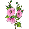 Fleur