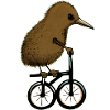 Kiwi sur le vélo