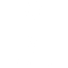 Wing Chun vertical white