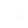 Infinity Cat