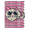 Chinchillin Shorttail Longtail Longhair