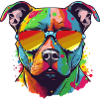 Zar der Pitbull