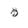 Husky-Hunde-Geschenke
