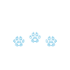 Husky Dog Gifts
