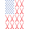 Sport Us Flag Hockey