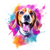 Beagle with sunglasses
