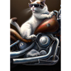Motorrad Katze