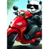 Motorrad-Panda