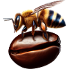 Bee Coffee