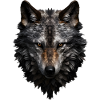 Wolf Portrait