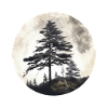 Pine tree