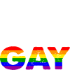 Scusate ragazze sono gay