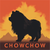 Chowchow