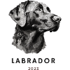 Labrador