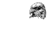 Eagle Bird Graphic Animal Motif