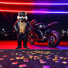 Gangster Raccoon